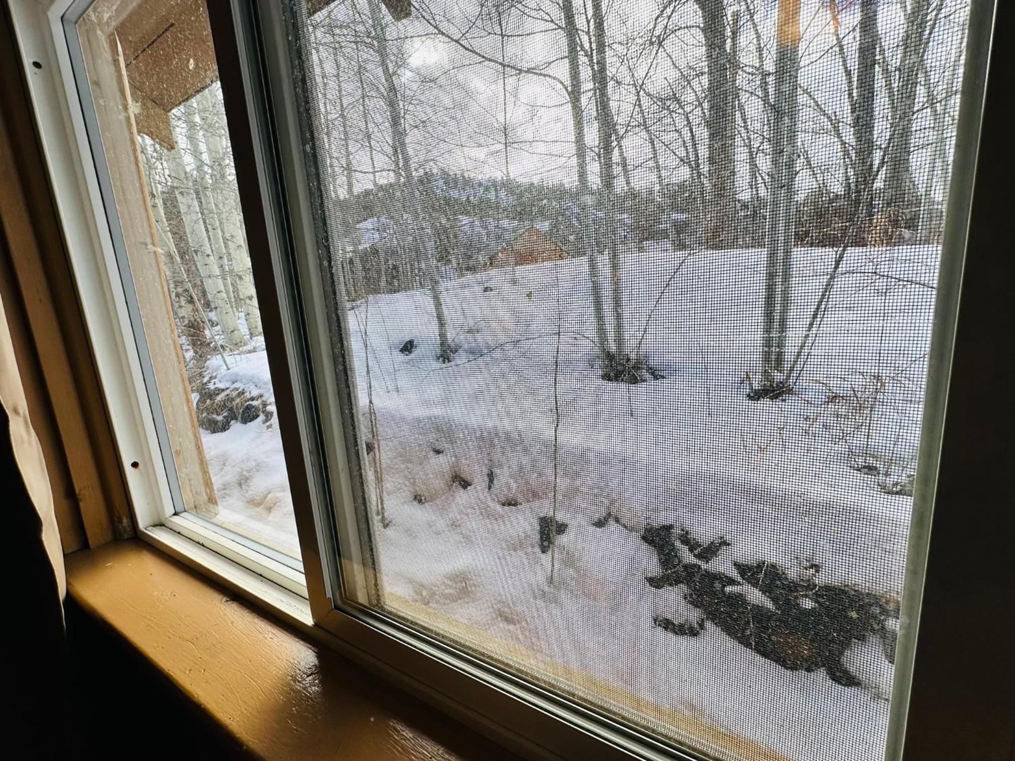 Ute Bluff Lodge, Cabins And Rv Park South Fork Eksteriør billede